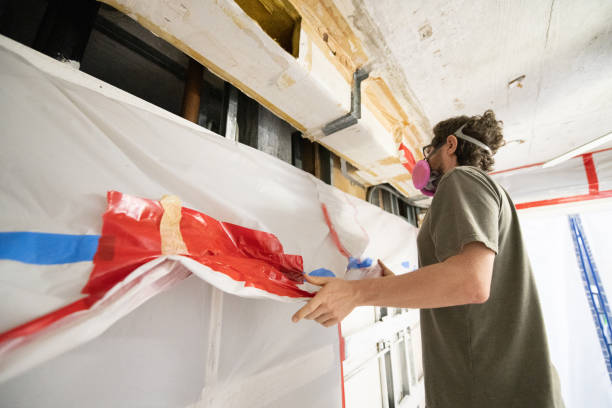 Best Real Estate Mold Inspection  in Winfield, IA